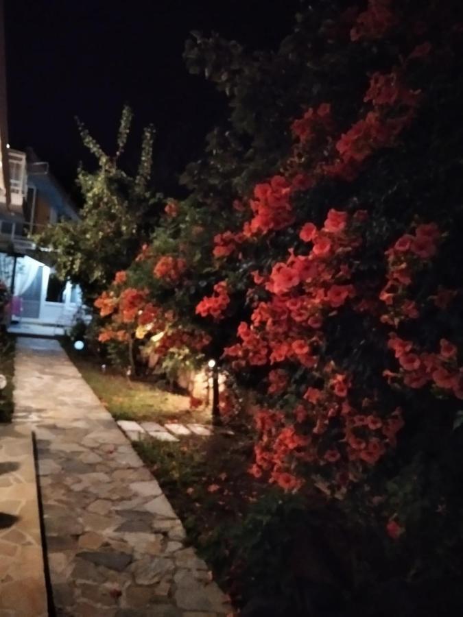 Villa Alekos Limenas  Zewnętrze zdjęcie
